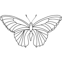 5284156-200