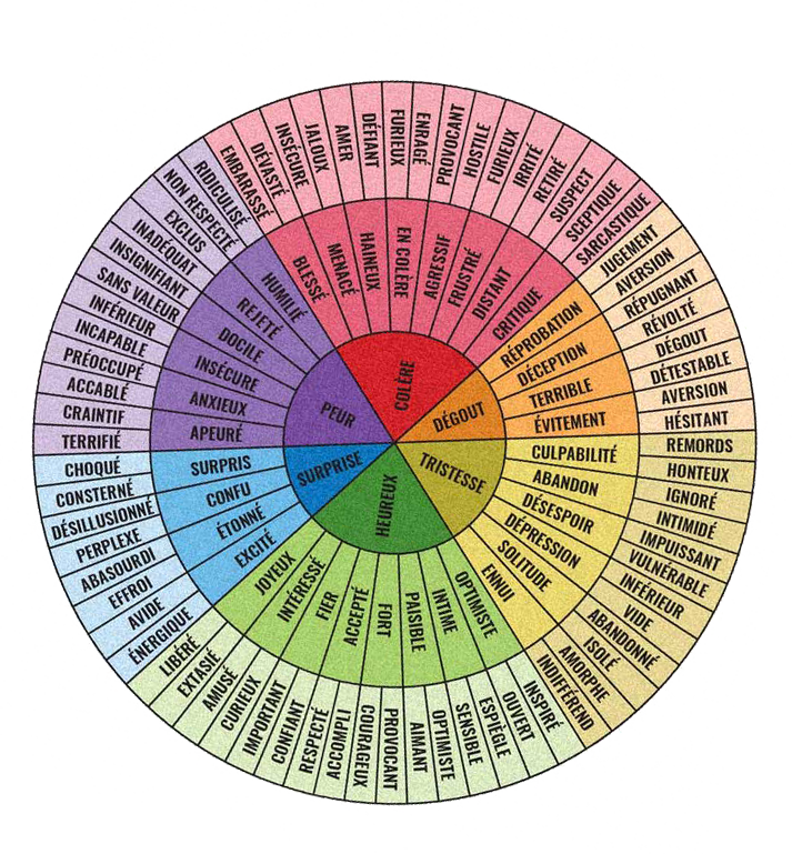 roue_emotions_transparent