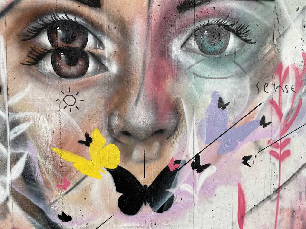 web_eye_butterfly